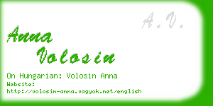 anna volosin business card